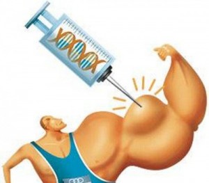 What does testosterone do for the body