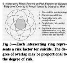 Suicide Risk Factors Chart
